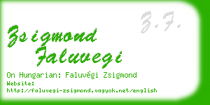 zsigmond faluvegi business card